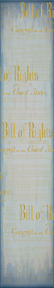Bill of Rights Long Silk Scarf - The National Memo
