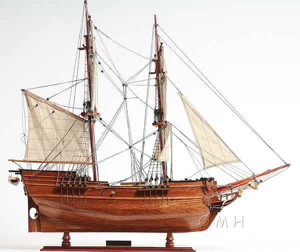 Lady Washington Ship Model