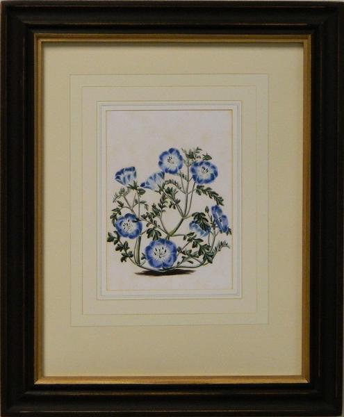 Vintage English Botanical Study Blue III Art Print - The National Memo