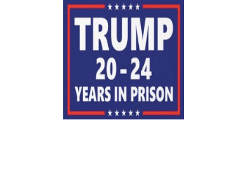 Trump for Prison Bumper Sticker - The National Memo