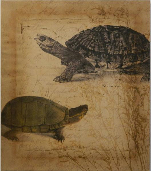 Tandem Tortoise II Art Print - The National Memo