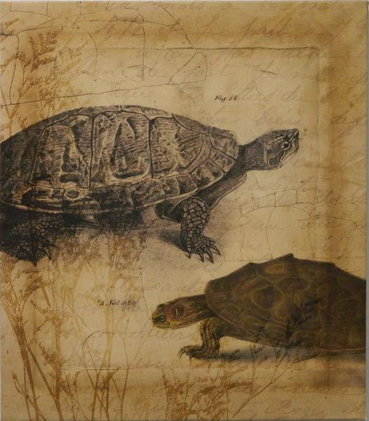 Tandem Tortoise I Art Print - The National Memo