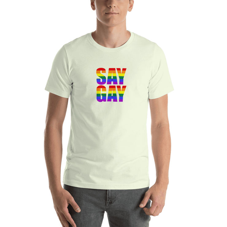 Say Gay T-shirt - The National Memo